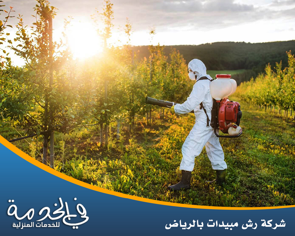 أفضل شركة رش مبيدات بالرياض