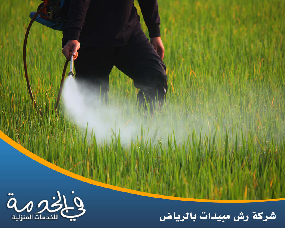 خدمات شركة رش مبيدات بالرياض